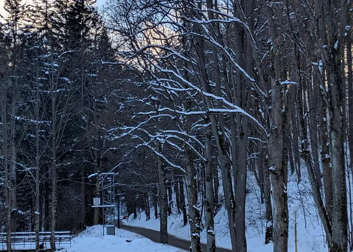 Apartmán Korytnica *